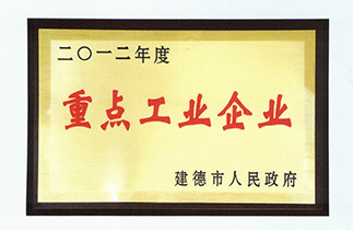 2012年度重點(diǎn)工業(yè)企業(yè)